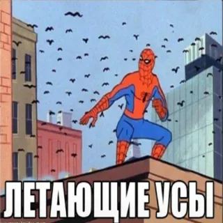 Spider poxuy by @hey_im_okay telegram stickers