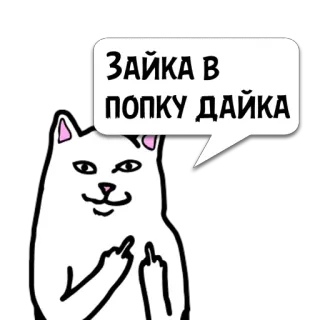 😼 Зайка в попку дайка cat, offensive, middle finger, sticker telegram sticker