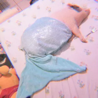 🐽 pig, mermaid, animal, cute, bed, tail telegram sticker