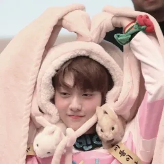 🍥 bunny, rabbit, cute, animal, pink, cosplay telegram sticker