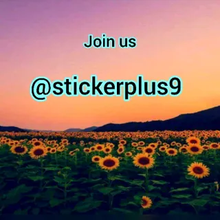 💎 Join us
@stickerplus9 girassóis, natureza, pôr do sol, flores, campo, paisagem, adesivo whatsapp sticker
