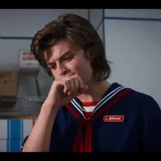 ♠️ Steve Harrington Stranger Things Steve Harrington, Stranger Things, Charakter, Serie whatsapp sticker