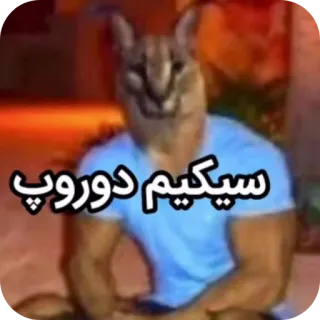 ✋ Big Floppa null سیکیم دوروپ telegram sticker