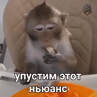 😀 упустим этот нюанс monyet, makan, lucu, meme, hewan telegram sticker