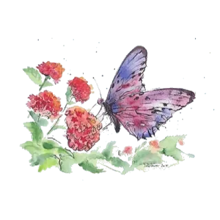 🦋 vlinder, bloem, natuur, aquarel, insect telegram sticker
