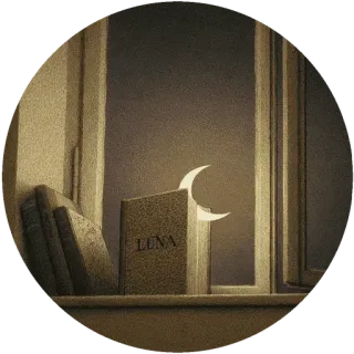 🌜 LUNA Buch, Mond, Fenster, Nacht, Lesen, Literatur whatsapp sticker
