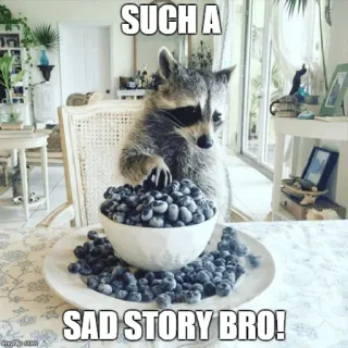 😢 SUCH A
SAD STORY BRO! mapache, meme, triste, arándanos, animal whatsapp sticker