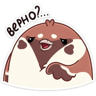 ❓ ВЕРНО? pássaro, animal, desenho animado, fofo, pergunta telegram sticker