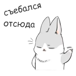 😎 乖乖闭嘴 Hase, Tier, süß, Aufkleber, still, Hör auf zu reden telegram sticker