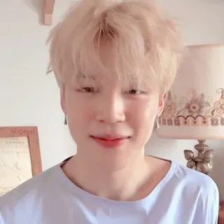 🌷 Jimin K-pop, cantante, ídolo, música, retrato whatsapp sticker