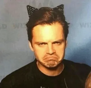 🙁 homem, orelhas de gato, engraçado, expressão, retrato telegram sticker