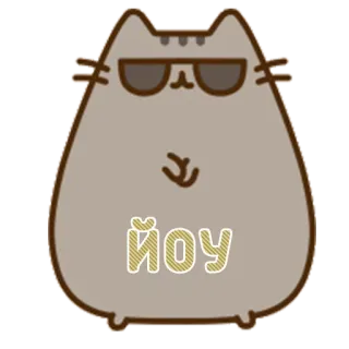 😎 йоу кот, стикер, круто, очки, серый кот whatsapp sticker