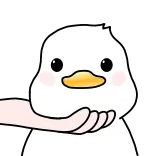 ❤️ duck, cute, kawaii, animal, cartoon, white duck whatsapp sticker