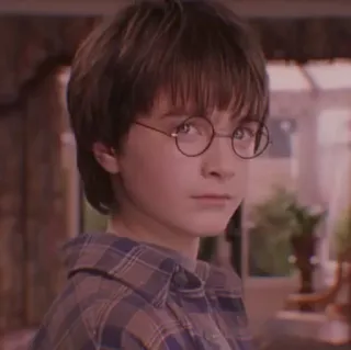 🦁 Harry Potter harry potter, daniel radcliffe, mago, personaje, película whatsapp sticker