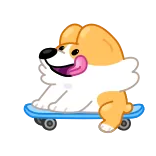 🏃 Hund, Corgi, Skateboard, Tier, Süß, Haustier, Cartoon telegram sticker