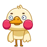 😨 desenho animado, pato, adesivo telegram sticker