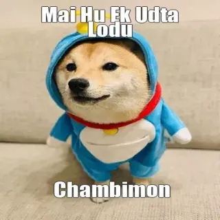 😂 Mai Hu Ek Udta
Lodu

Chambimon perro, meme, ofensivo, texto, gracioso telegram sticker