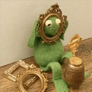 🐸 Kermit Kermit, o Sapo, sapo, fantoche, espelho, vintage whatsapp sticker
