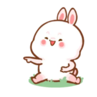 😂 królik, słodki, zwierzę, kreskówka, kawaii whatsapp sticker