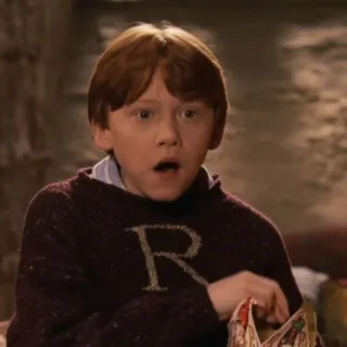 🦁 Ron Weasley Harry Potter ロン・ウィーズリー, ハリー・ポッター, びっくり, 赤毛, ポートレート telegram sticker