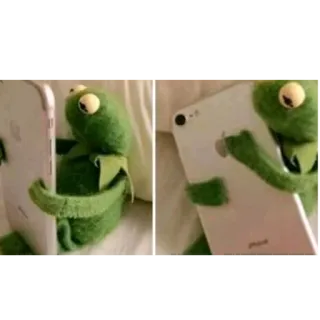 🫂 Kermit the Frog The Muppets whatsapp sticker