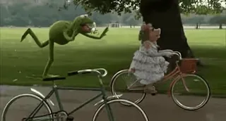 🚲 Kermit the Frog The Muppets Кермит, Мисс Пигги, Маппеты, велосипед, парк, романтика telegram sticker