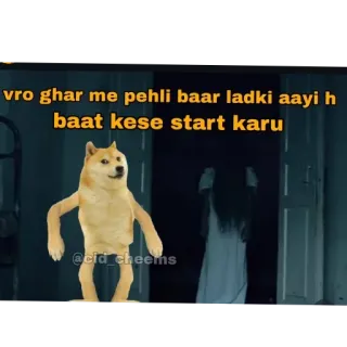 🐶 Swole Doge Doge Meme vro ghar me pehli baar ladki aayi h baat kese start karu telegram sticker