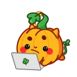💻