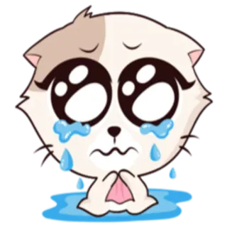 😭 chat, chaton, pleurer, triste, larmes, suppliant telegram sticker