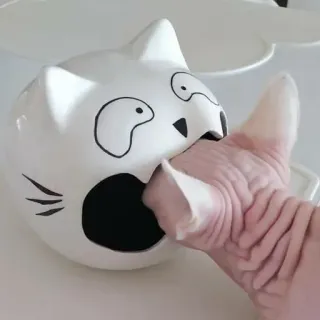 😐 gatto, sphynx, gatto senza pelo, carino, divertente, animale domestico telegram sticker