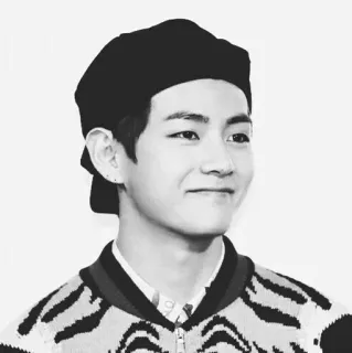 🗝 V K팝, BTS, 뷔, 가수, 한국, 아이돌 telegram sticker