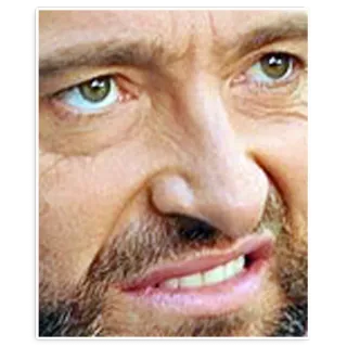 💪 Hugh Jackman Hugh Jackman, Schauspieler, Gesicht, Promi, Porträt telegram sticker