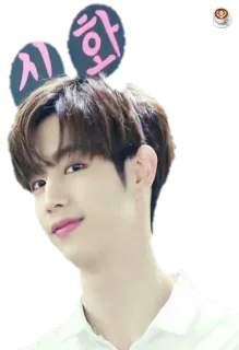 😻 시화 kpop, korean, text, face telegram sticker