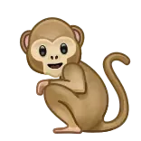 🐒
