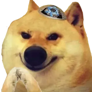 🙏 Doge Doge, Pies, Meme, Uśmieszek, Myślenie telegram sticker