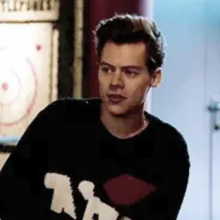🌸 Harry Styles chanteur, célébrité, homme, portrait, pull telegram sticker