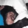 🛏