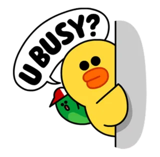 🤓 U BUSY? утка, подглядывающий, занятый, мультик, милый, вопрос, Line Friends telegram sticker