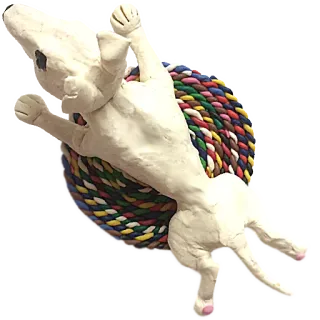 ⏯ dog, animal, pet, rope, toys telegram sticker