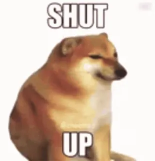 🤫 SHUT UP pies, mem, zamknij się, cheems, zwierzę, wyrażenie, internet telegram sticker