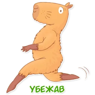 🏃 УБЕЖАВ capybara, berlari, hewan, kartun, lucu telegram sticker
