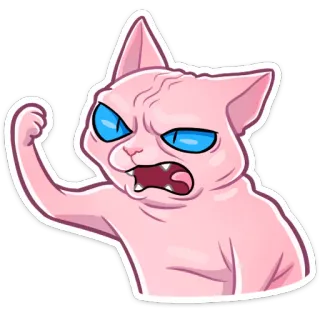 👊 кот, злой, смешной, животное, мем, сфинкс, розовый кот telegram sticker