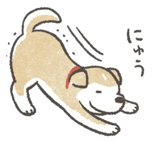 😌 にゅう cachorro, animal, fofo, desenho animado, brincando, japonês, texto whatsapp sticker