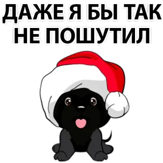 😢 ДАЖЕ Я БЫ ТАК НЕ ПОШУТИЛ dog, cartoon, christmas, santa hat telegram sticker