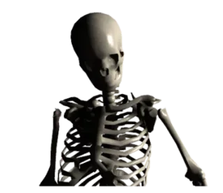 😕 scheletro, ossa, anatomia, halloween, spaventoso telegram sticker