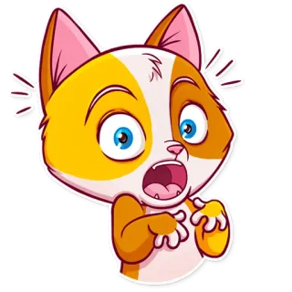 😨 gatto, adesivo, cartone animato, animale, scioccato, sorpreso, carino telegram sticker