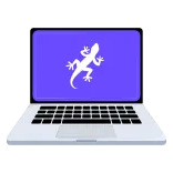 💻