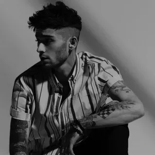🏰 Zayn Malik Sänger, Musiker, Promi, Porträt, Männliches Model telegram sticker