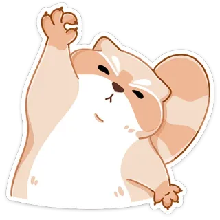 🦝 แมว, สติกเกอร์, สัญลักษณ์โอเค, ท่าทาง, การ์ตูน, สัตว์, น่ารัก whatsapp sticker