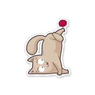 😊 gatto, gattino, lana, palla, carino, giocoso, animale telegram sticker
